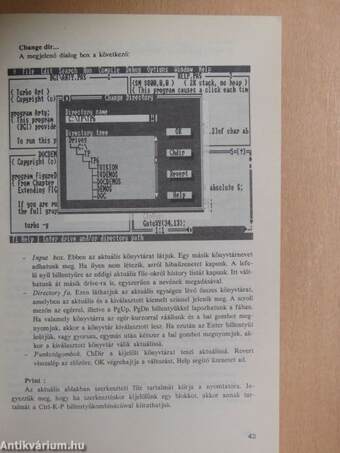 Turbo Pascal 6.0 & for Windows