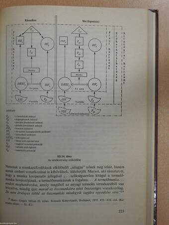 Politikai gazdaságtan 1-4. (dedikált példány)