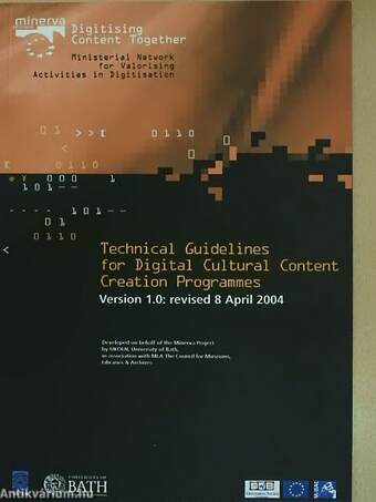 Technical Guidelines for Digital Cultural Content Creation Programmes