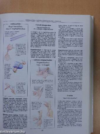 Ötletek, jó tanácsok, megoldások bármire