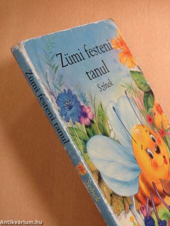 Zümi festeni tanul - Színek