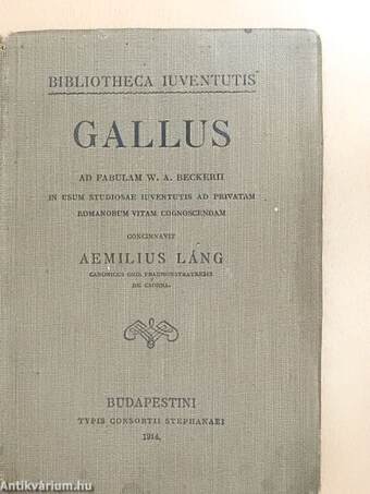 Gallus