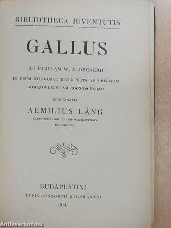 Gallus