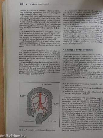 Gastroenterologia