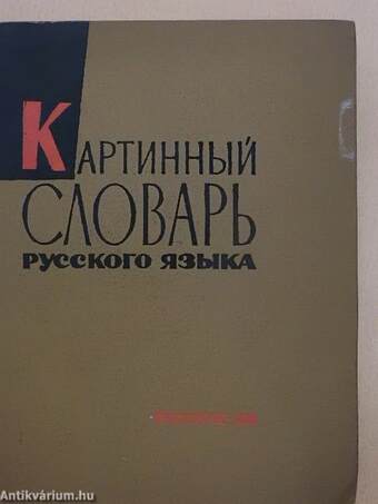 Picture Dictionary of the Russian Language/Dictionnaire Illustré de la Langue Russe/Diccionario Ilustrado de la Lengua Rusa