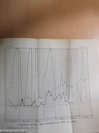 Mathematikai és természettudományi közlemények XIV. (töredék)