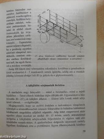 A szakosított húsmarhatenyésztés technológiája