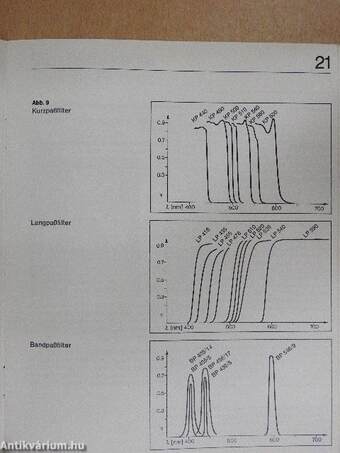 Was man von der Fluoreszenz-Mikroskopie wissen sollte