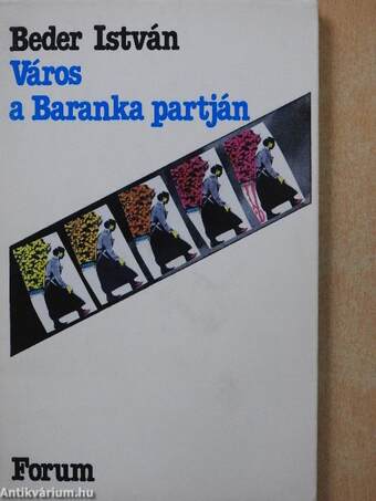 Város a Baranka partján