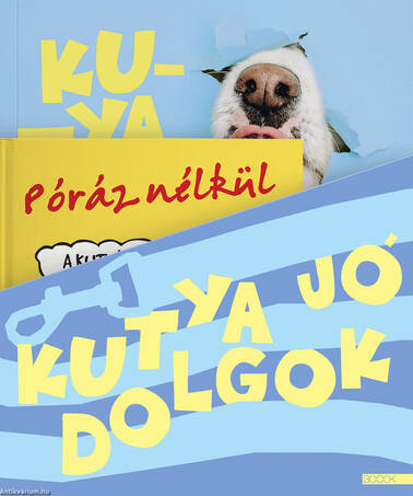 Kutya jó dolgok díszdoboz