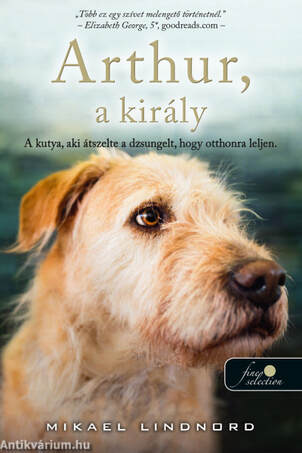Arthur, a király - a kutya, aki átszelte a dzsungelt, hogy otthonra leljen
