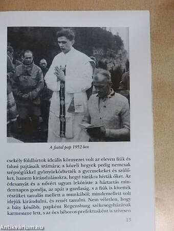 XVI. Benedek pápa