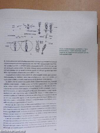 Biológia I-II.