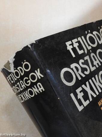 Fejlődő országok lexikona