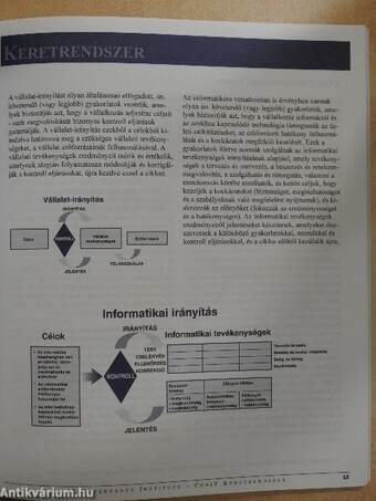 Cobit - Keretrendszer