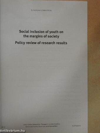 Social inclusion of youth on the margins of society