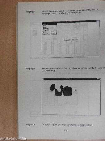 Windows felhasználó programok Borland C++ környezetben