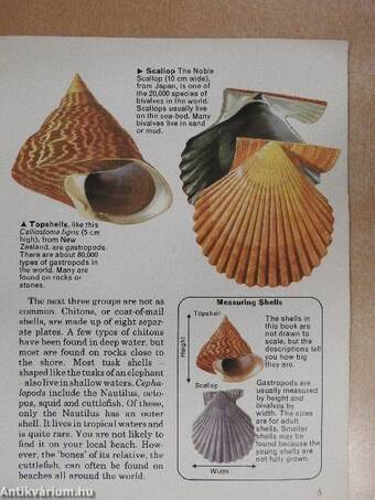 Guide to Shells