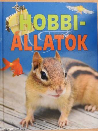 Hobbiállatok