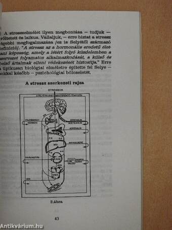 Ép testben ép(p)en élek