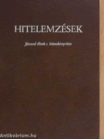 Hitelemzések