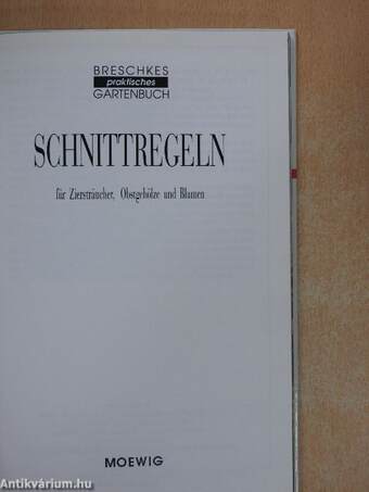 Schnittregeln