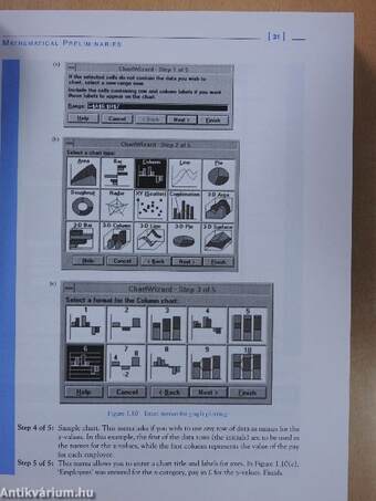 Essential Mathematics for Economics and Business