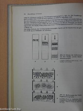 Medizinische Biochemie