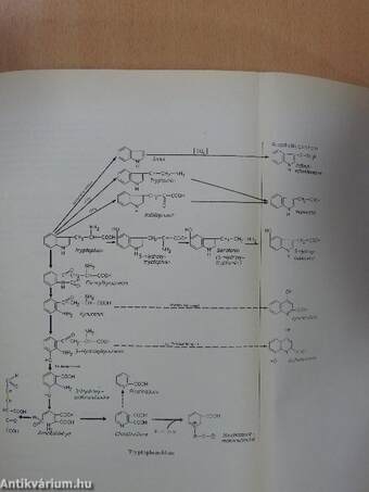 Medizinische Biochemie