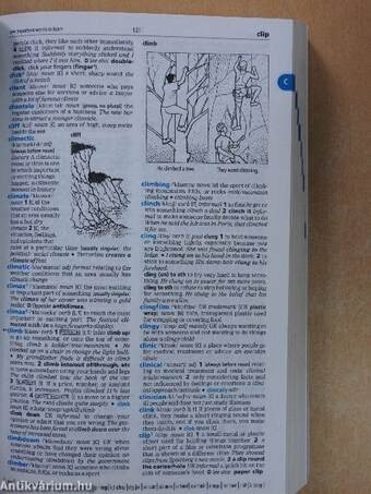 Cambridge Learner's Dictionary