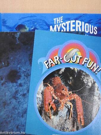 The Mysterious Undersea World