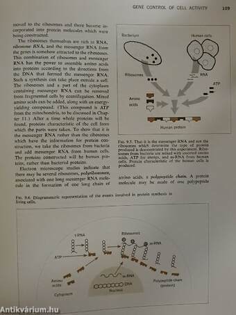 Biology and its relation to mankind