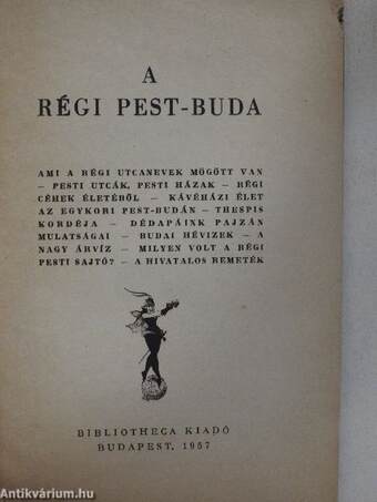 A régi Pest-Buda