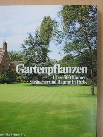 Gartenpflanzen