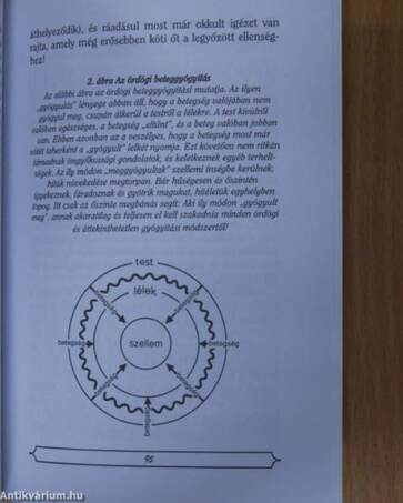 "Szentek legyetek, mert én szent vagyok!"/"Én vagyok az Úr, a te gyógyítód!"