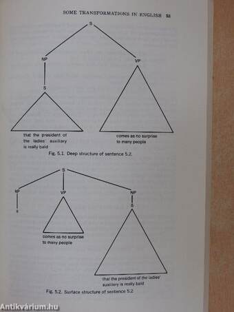 The Study of Syntax