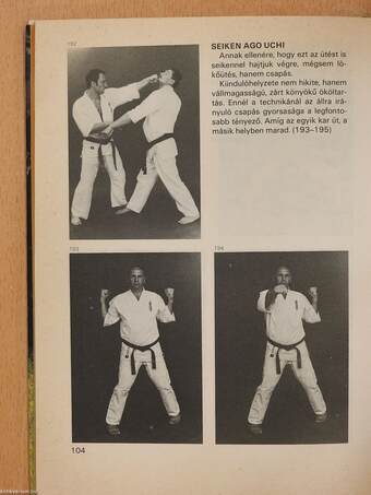 Kyokushin karate (dedikált példány)