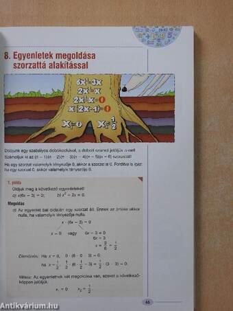 Sokszínű matematika 8.