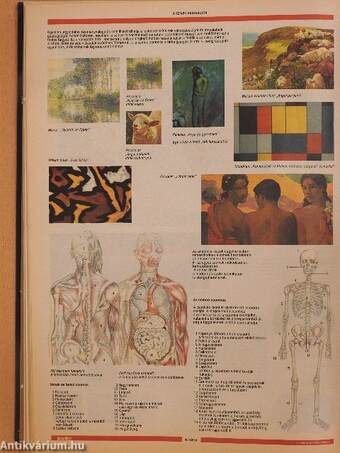 Cambridge enciklopédia 1992. április-december/Függelék + 8 tábla színes képmelléklet