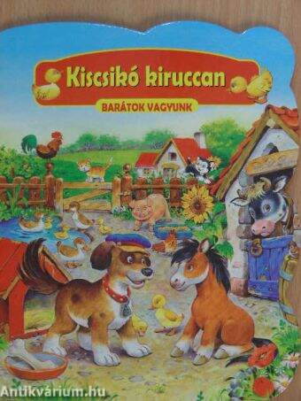 Kiscsikó kiruccan