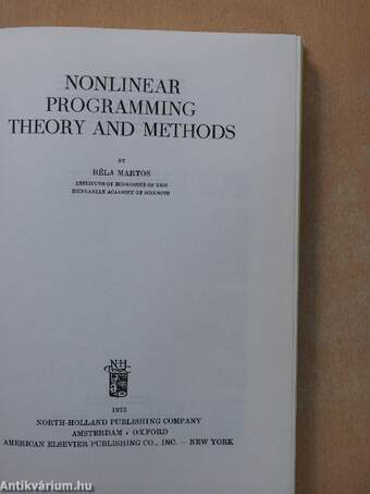 Nonlinear Programming Theory and Methods