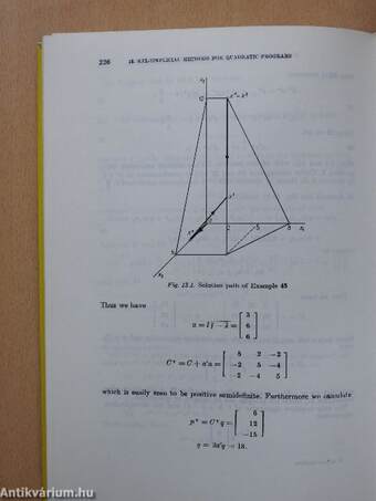 Nonlinear Programming Theory and Methods