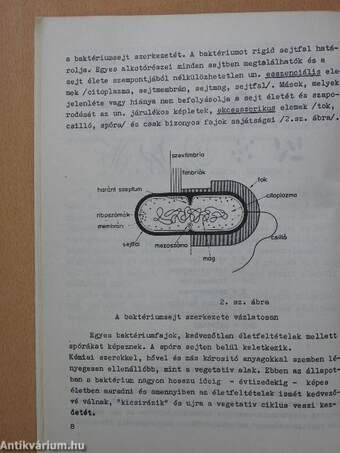 Az egészségügyi intézmények higiénéje I.