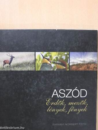 Aszód