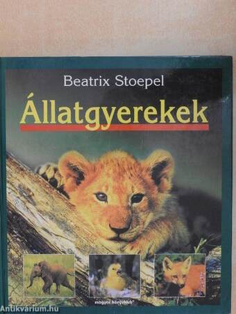 Állatgyerekek