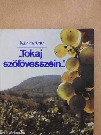 "Tokaj szőlővesszein..."