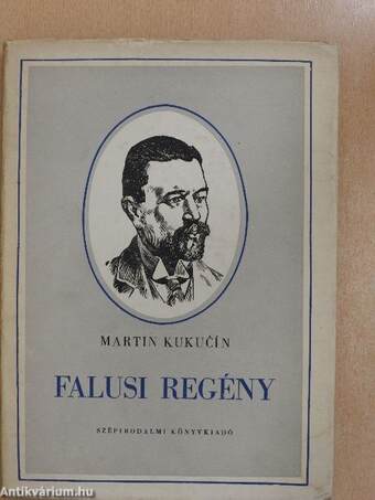 Falusi regény