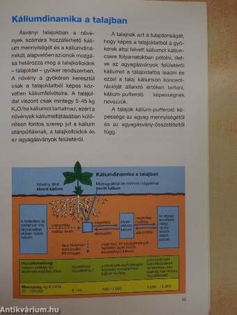 Káliumtrágyázás szántóföldi és kertészeti kultúrákban