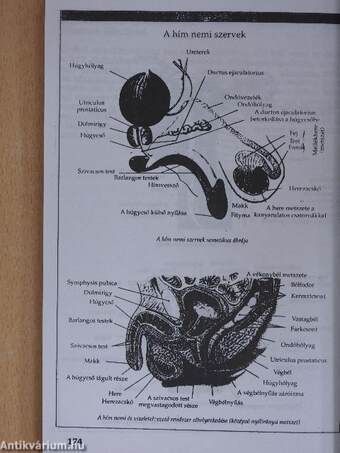 Gyermekeink táplálása