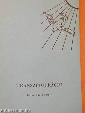 Transzfiguráció